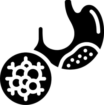 A black and white illustration of a stomach and a heart vector