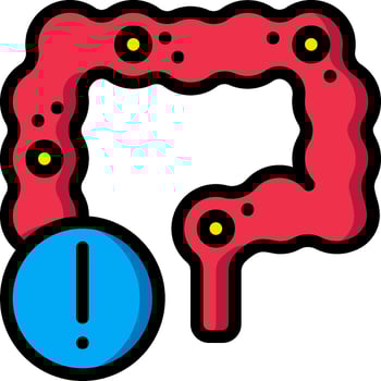 An icon of a red and blue stomach with a warning sign vector