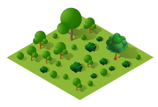 Isometric forest landscape illustration vector