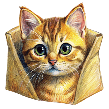 Cute Kitten Peeking from Inside a Brown Bag png