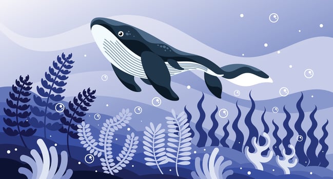 Turtle Sea Illustration vector