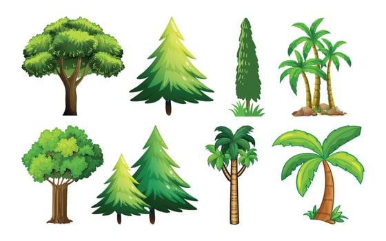 Collection of cartoon trees and palms vector