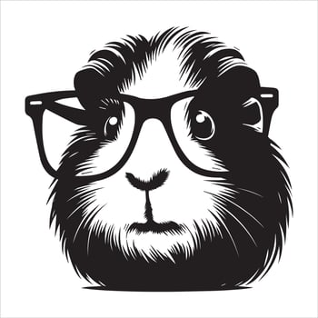 Guinea Pig Animal Image on White Background vector