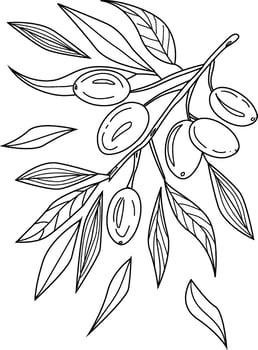 coloring page an olive branch vector