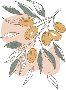 olive branch hand-drawing ,pastel color ,minimalism vector