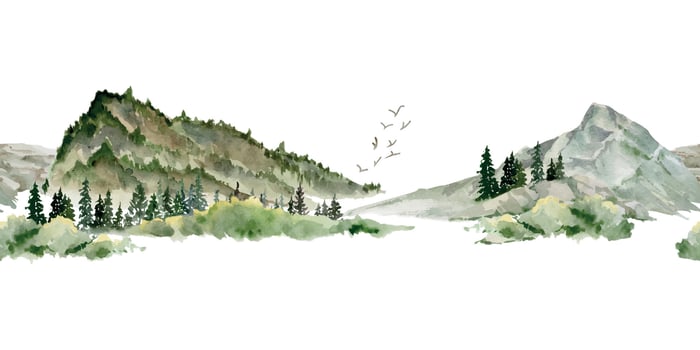 Scenery landscape alpine vista, coniferous forest fir spruce trees, mountains fields hills pasture land, hand drawn in watercolor. Seamless banner. Tourism, resort ads, hiking camping sites, vacation. vector