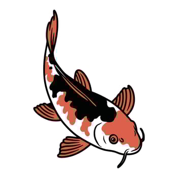 Colorful Japanese Koi Fish Illustration vector