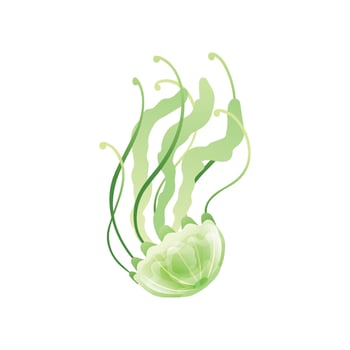 Green Jellyfish, Beautiful Swimming Marine Underwater Creature Illustration vector