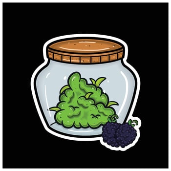 Blackberry Flavor and Herbal Leaf Inside Jar. For logo, label, packaging and product branding vector