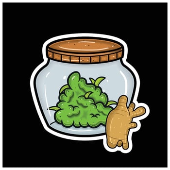 Ginger Flavor and Herbal Leaf Inside Jar. For logo, label, packaging and product branding vector