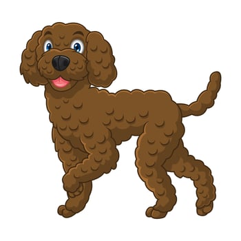 Cartoon poodle dog breed isolated on white background vector