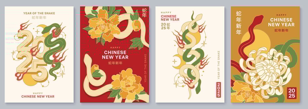 Colorful Chinese New Year background with lunar symbol of the snake. Traditional poster with peonies, chrysanthemums, snakes and fire elements. Chinese modern design vector