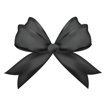 Ribbon bow clipart design illustration on a white background vector