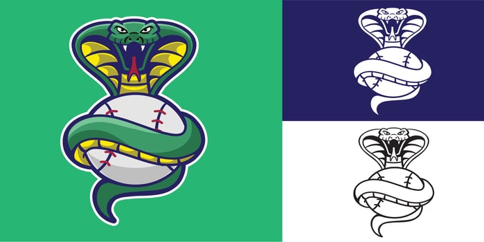 mascot snake with baseball good for logo, team logo, sport logo, sticker, etc vector