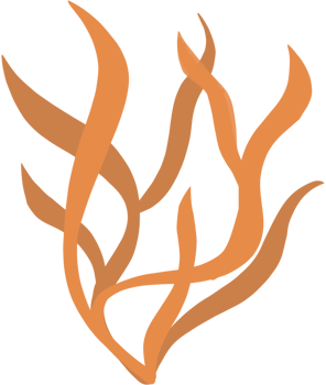 Orange color seaweed plant, undersea concept png