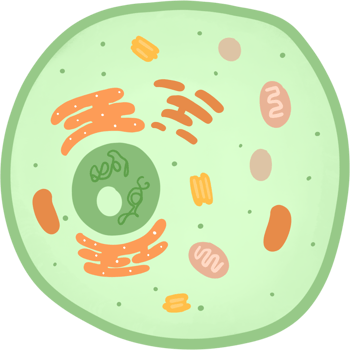 Animals cell, science concept png