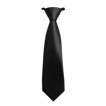Elegant Tie for Formal Occasions and Stylish Attire on transparent background png