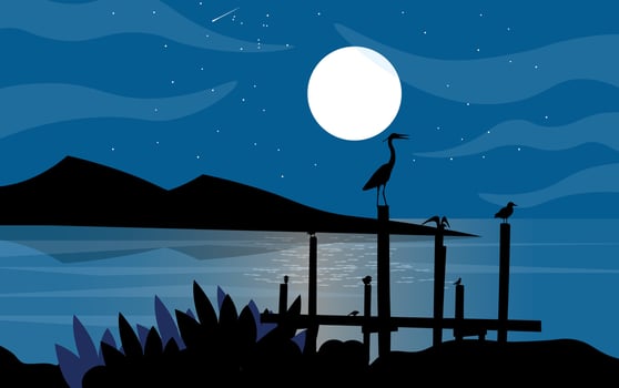Silhouettes of birds under a moonlit night vector
