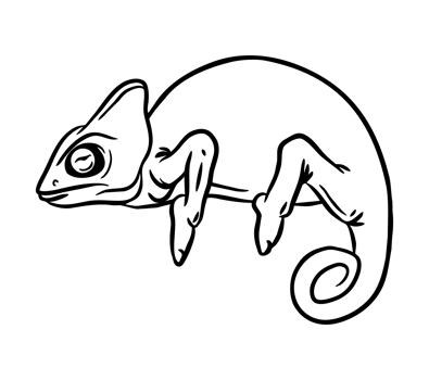 Chameleon outline illustration for coloring page png