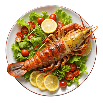 Freshly cooked lobster served on a bed of greens png