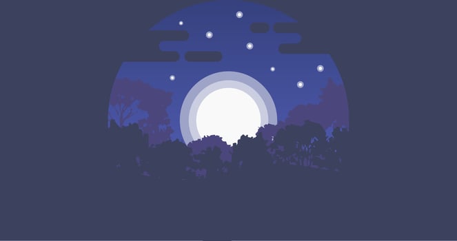 Moon in Night Forest Flat Design vector
