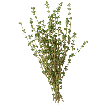 Thyme sprigs on wood in daylight png