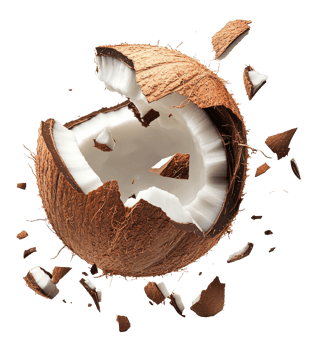 Coconut being cracked open in a burst of fragments png