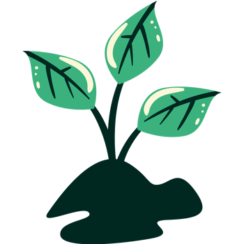green plant on soil png