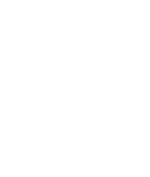 white color seaweed, concept png