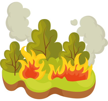 forest fires destruction png