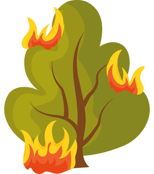 forest fires tree destruction png