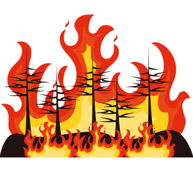 forest fires deforestation png