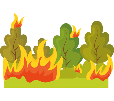 forest fires disaster png