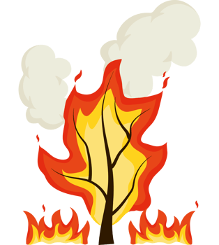 forest fires deforestation png