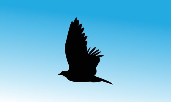 Beautiful Black Bird vector