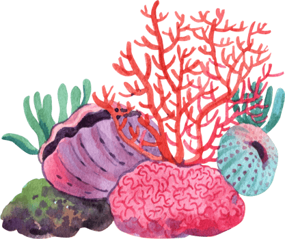 Coral Reef, Watercolor Hand-drawn Illustration png