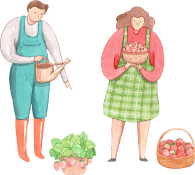 a man waters plants while a woman holds a bowl of fresh strawberries, strawberry festival, hand-drawn watercolor illustration png