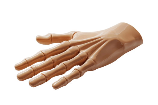 Wooden articulated hand model on display. Perfect for anatomy study, drawing practice, or showcasing innovative design and craftsmanship. png