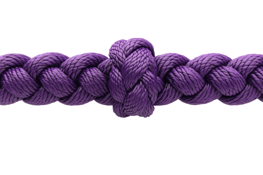 Close-up of a purple braided rope with an intricate knot, representing strength, connection, and craftsmanship. png