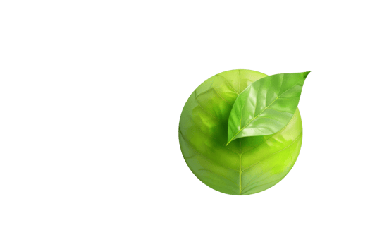 Green leaf with vibrant colors, isolated on a transparent background. Perfect for nature, botanical, and eco-friendly themes. png