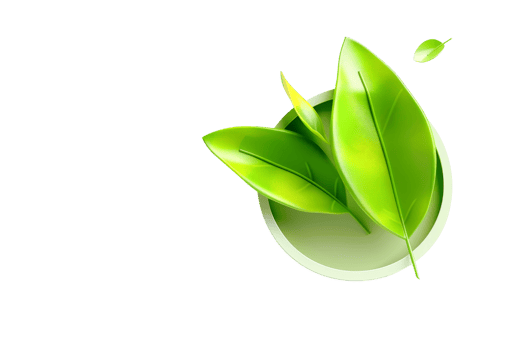 Bright green fresh leaves on a transparent background. symbolizing nature, growth, and freshness. Perfect for eco-friendly and organic concepts. png