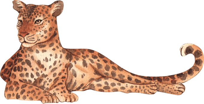 Leopard Wildlife watercolor hand drawn png
