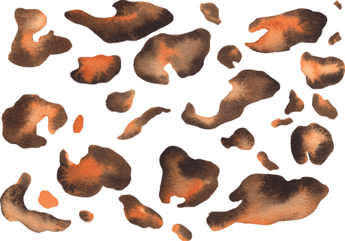 Abstract with leopard skin watercolor hand drawn png