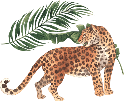 Leopard wildlife watercolor hand drawn png