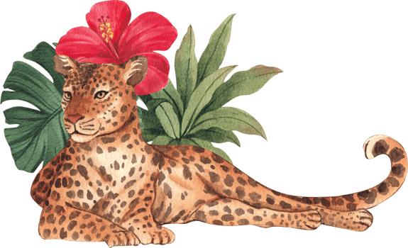 Leopard wildlife watercolor hand drawn png