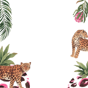 Frame of Leopard wildlife watercolor hand drawn png