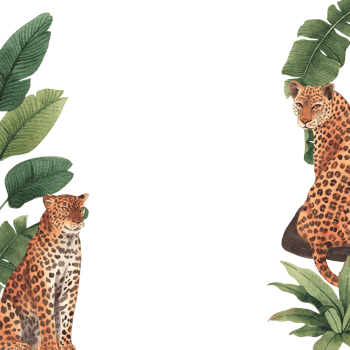 Frame of Leopard wildlife watercolor hand drawn png