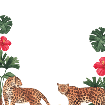 Frame of Leopard wildlife watercolor hand drawn png