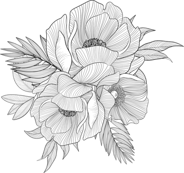 Digital painting illustration of a Bobbie flower bouquet in line art style png