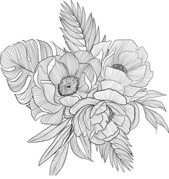 Digital painting illustration of a Bobbie flower bouquet in line art style png